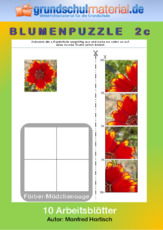 Blumenpuzzle_2c.pdf